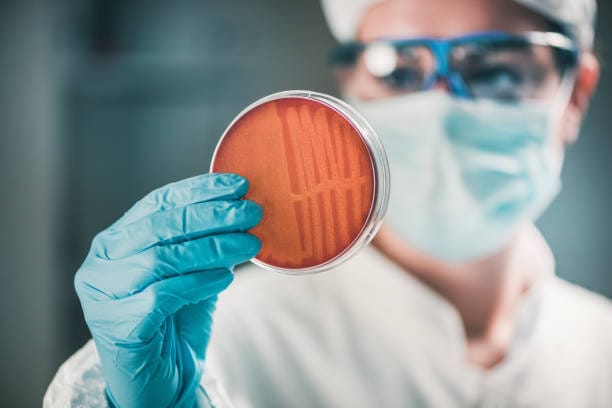 Ways to Understand Why Antibiotic Resistance is on the Rise and How to Overcome it