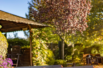 Harnessing Sustainable Power with Jackery Solar Generators