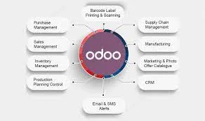 Taking Advantage of Odoo ERP: Your Way to Simplified Enterprise Management