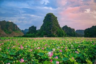 BEST DAY TRIPS FROM HANOI
