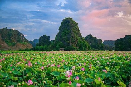BEST DAY TRIPS FROM HANOI