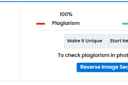 Plagiarism Checking Websites