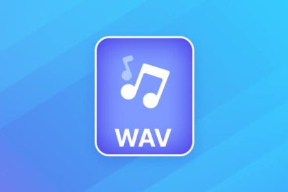 what-is-wav