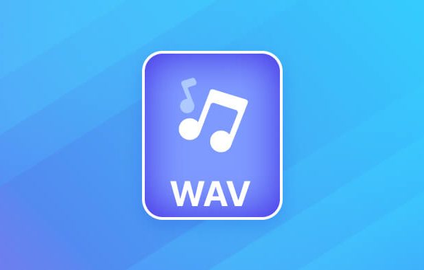 what-is-wav