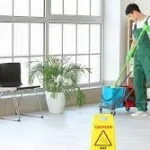Professional Cleaning Services: Elevate Your Space's Hygiene and Appeal