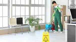 Professional Cleaning Services: Elevate Your Space's Hygiene and Appeal
