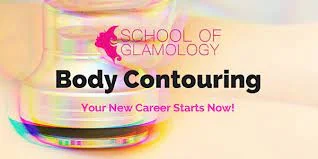 Sculpting Success: Enhancing Your Skills with Short Courses in Body Contouring