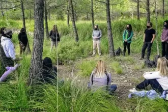 ForestTherapyHub