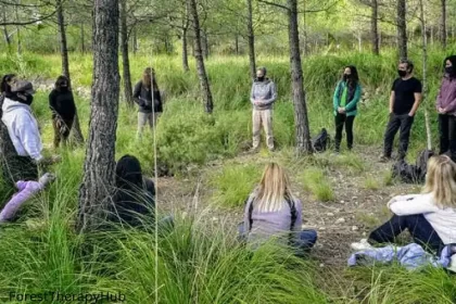 ForestTherapyHub