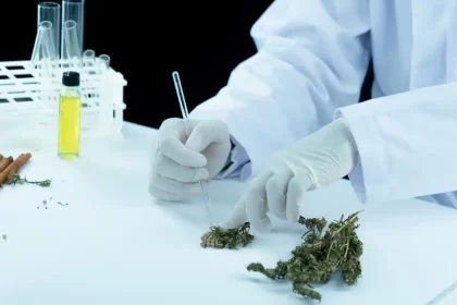 CBD extraction method