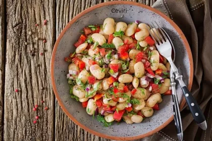 Ceviri