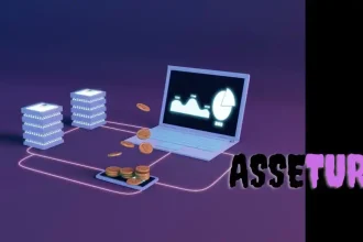 Asseturi