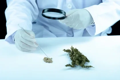 CBD vs CBG