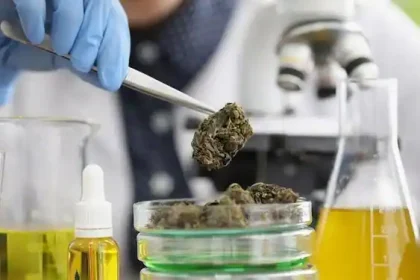 CBG and CBD products