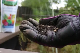 Fertilisers