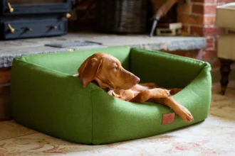 Luxury Dog Bed