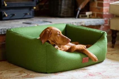 Luxury Dog Bed