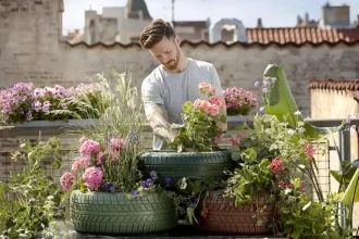 Wellness through hobbies
