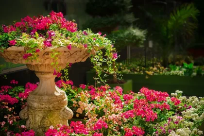 Garden Makeovers