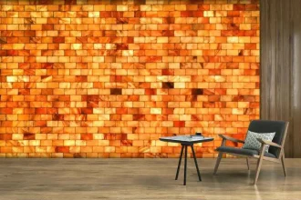 Himalayan Salt Blocks