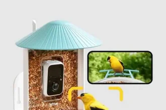 Bird Feeder Camera
