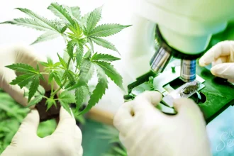 CBD Merchant Account