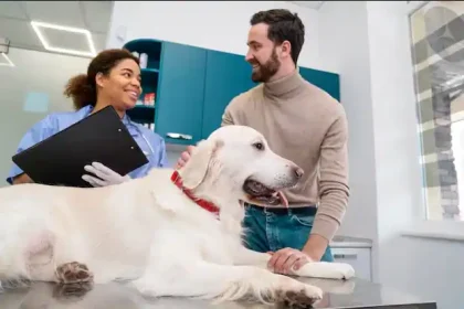 Pet healthcare