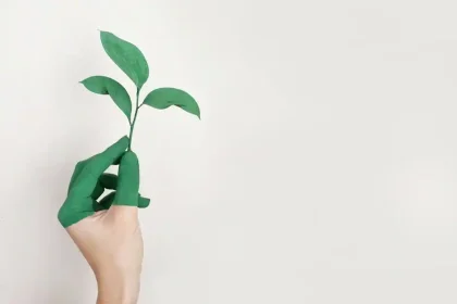 Greener Home