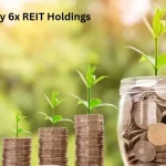 Money 6x REIT Holdings