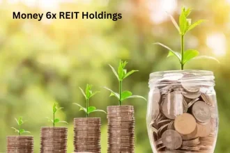 Money 6x REIT Holdings