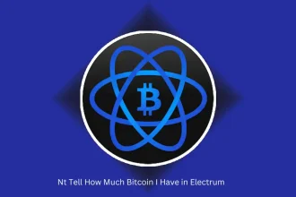 Nt Tell How Much Bitcoin I Have in Electrum