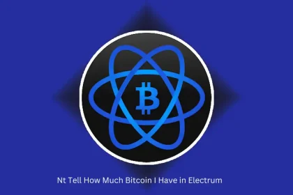 Nt Tell How Much Bitcoin I Have in Electrum