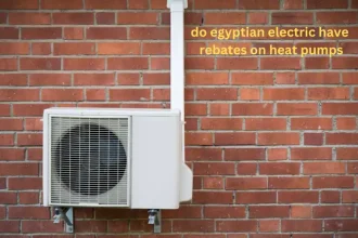 do egyptian electric have rebates on heat pumps
