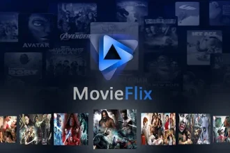 Moviesflix.com