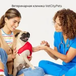 Ветеринарная клиника VetCityPets