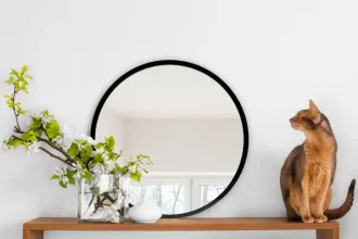 Circle Mirror