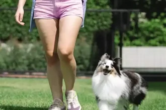 Wide Walking Shoes