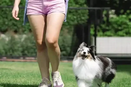 Wide Walking Shoes