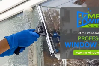 Window Cleaning