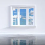 Glazed Windows