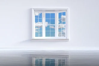 Glazed Windows