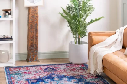 Washable Rugs
