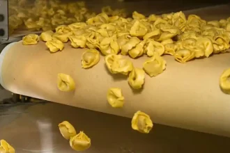 Tortellinatrice