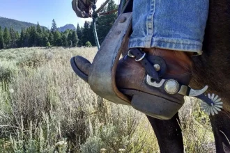 Cowboy Boots