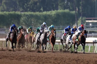 Racing Spotlight