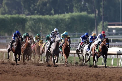 Racing Spotlight