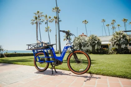 Cargo E Bike