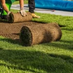 Turf Suppliers
