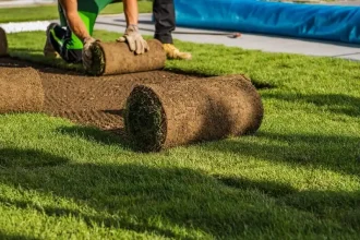 Turf Suppliers
