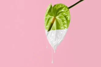 Vaginal Flora